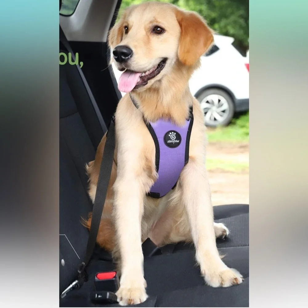 Dog Safety Seatbelt Vest Harness for Car